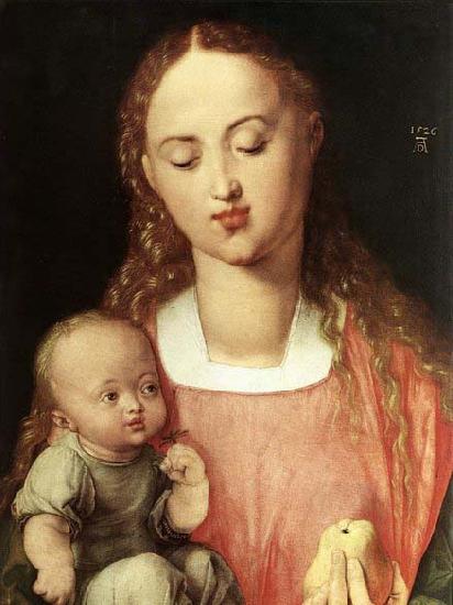 Albrecht Durer Madonna and Child with the Pear oil painting picture